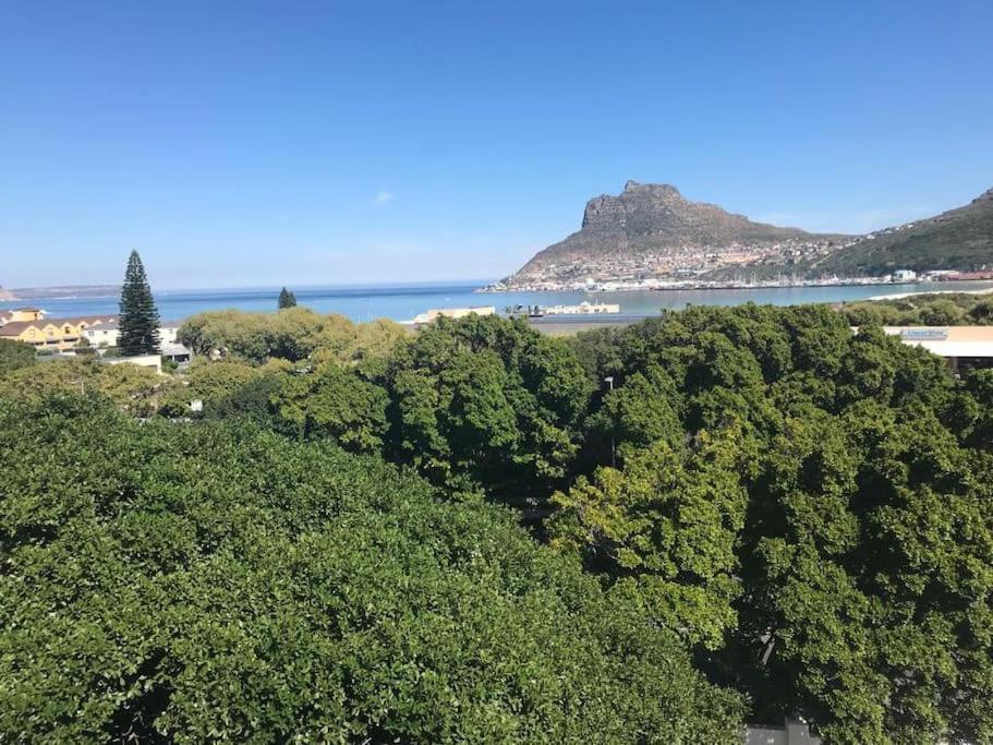 Апартаменты Chapman'S Peak, Loft Mit Sea-Und Mountainview Хаут-Бей Экстерьер фото
